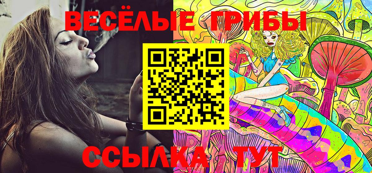 Галлюциногенные грибы Psilocybine cubensis  Вход с VPN  Шелехов 